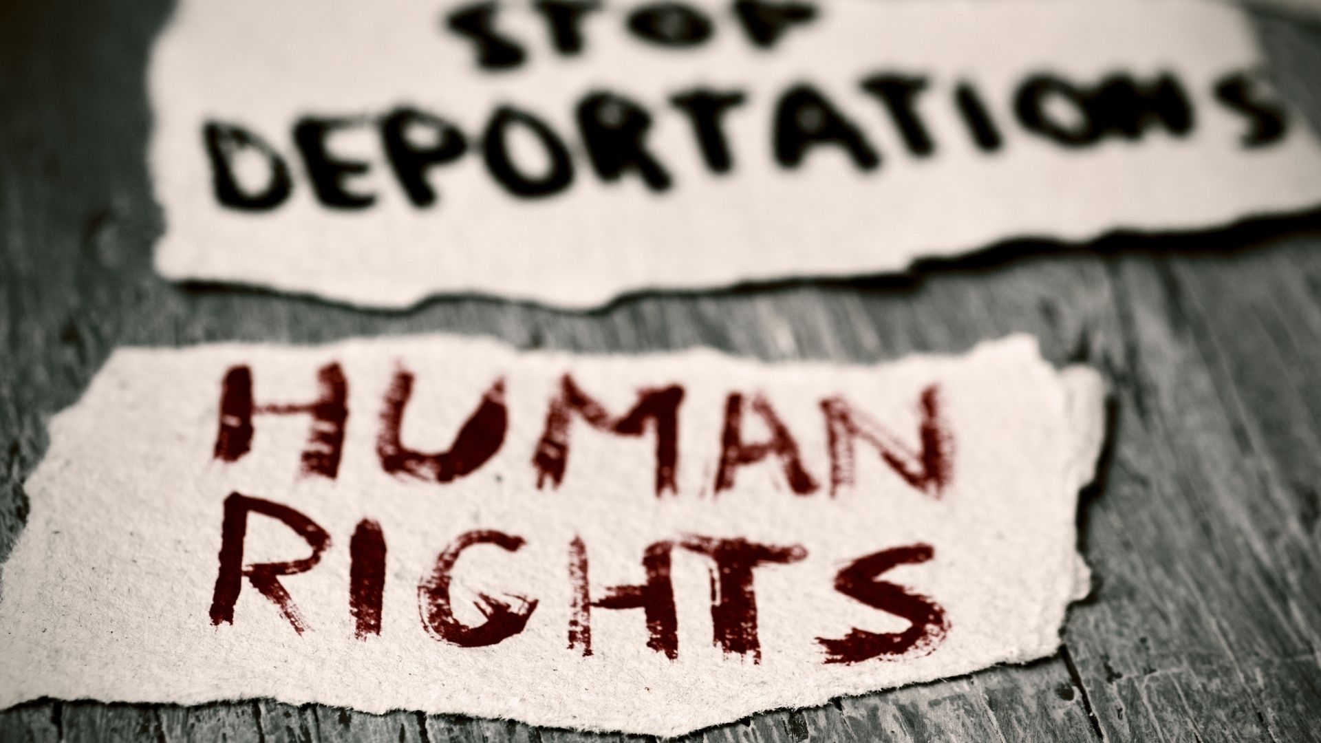 how to fight deportation legal options and expert advice