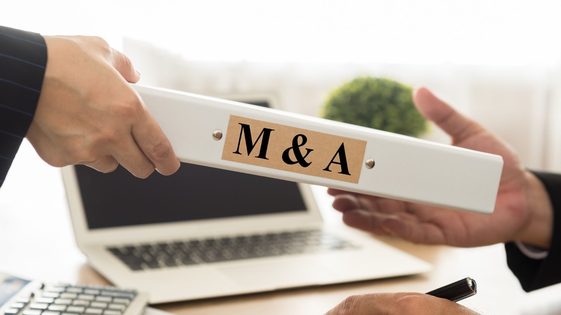 how to maximize value in mergers and acquisitions tips for business owners
