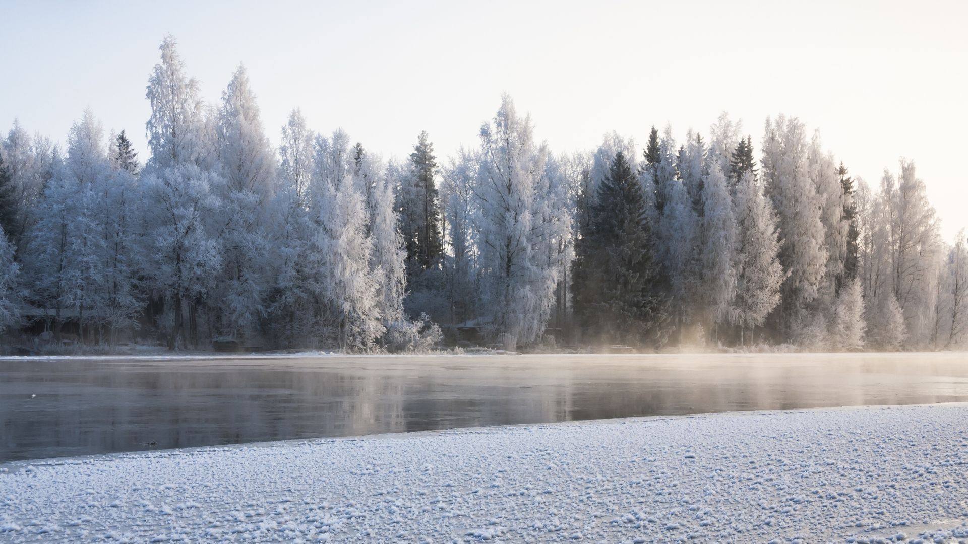 two men dead after falling through ice on lake in b.c.‘s fraser valley