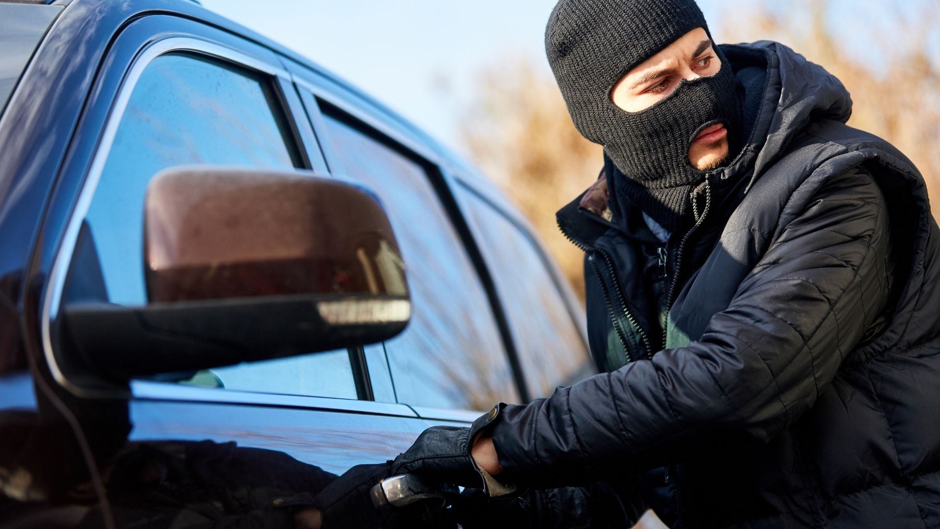 what happens during a theft or burglary trial a step by step overview