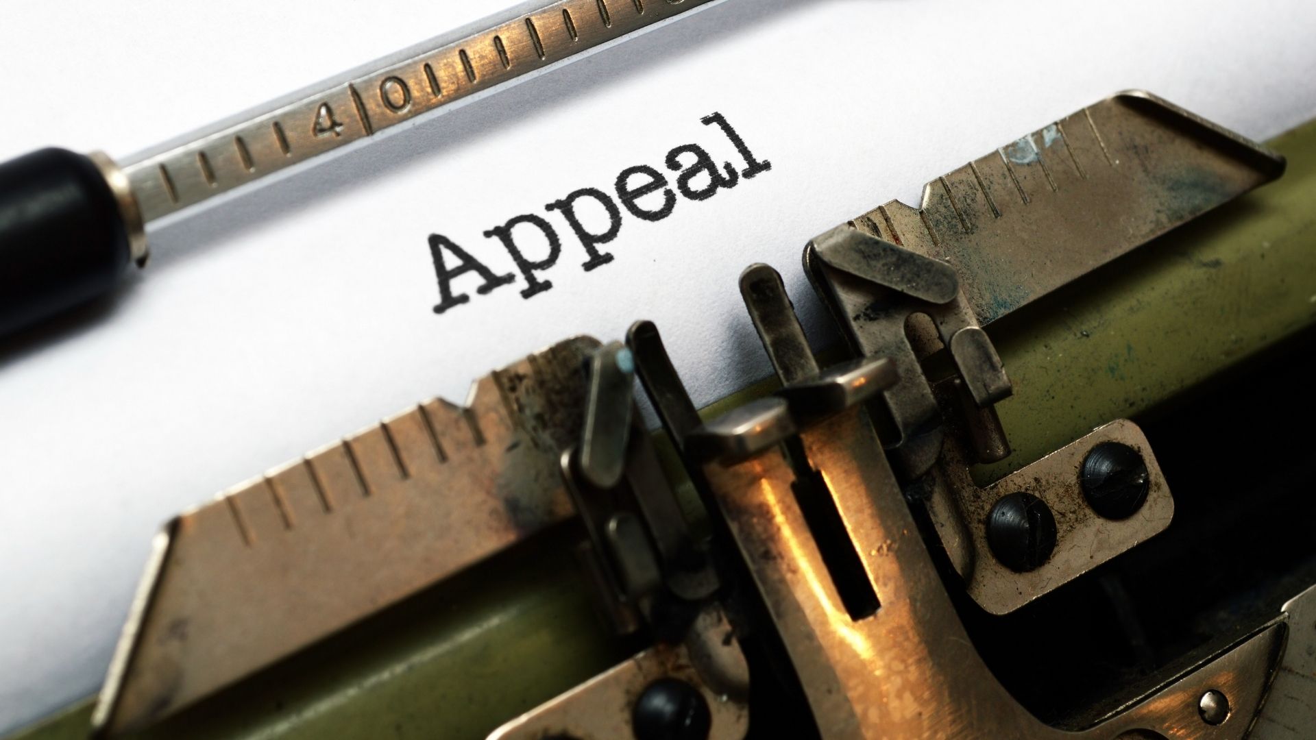what to expect when filing an immigration appeal key insights