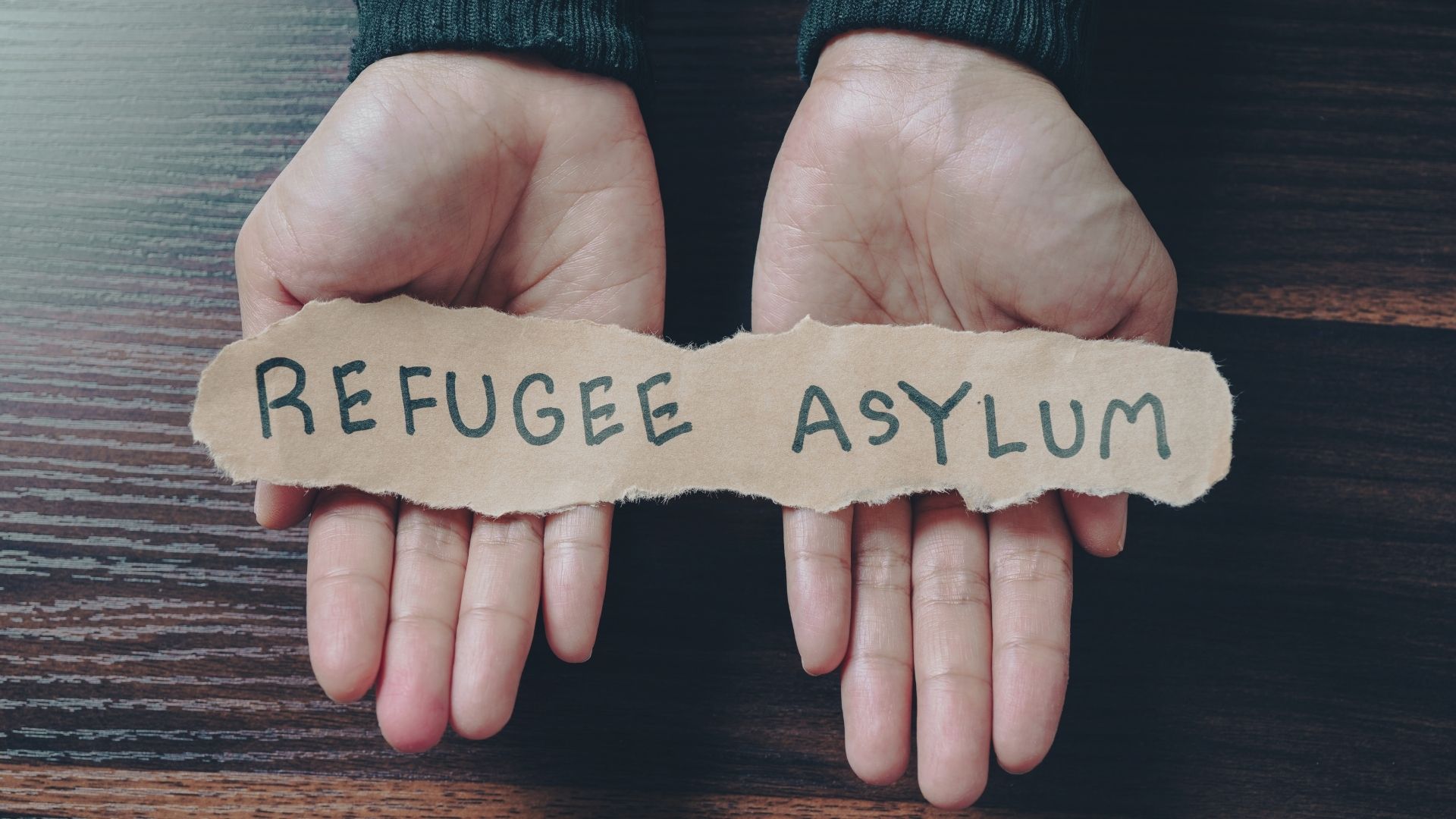 what you need to know about the asylum process and refugee status